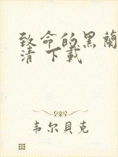 致命的黑兰2高清 下载