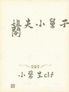 姐夫小舅子笔趣阁封面