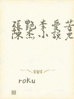 张艳李爱芳女婿陈杰小说免费版封面