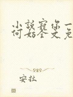 小说宠你一世又何妨全文免费阅读封面