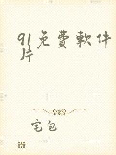 91免费软件看片