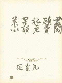 叶星北顾君逐的小说免费阅读