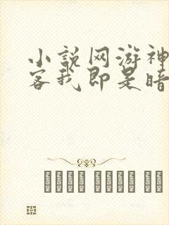 小说网游神级刺客我即是暗影