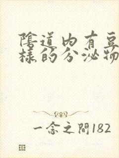 阴道内有豆腐渣样的分泌物是怎么回事