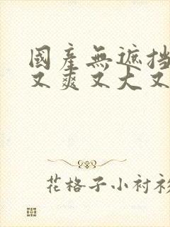 国产无遮挡又黄又爽又大又色