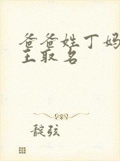 爸爸姓丁妈妈姓王取名封面