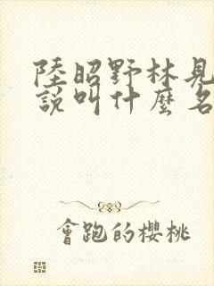 陆昭野林见疏小说叫什么名字