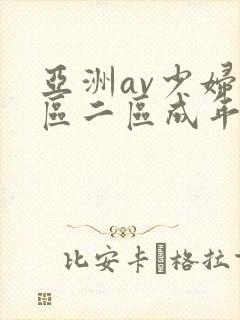亚洲av少妇一区二区成年男人