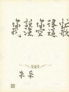 你说你很忙我说我没空这歌词歌名叫什么