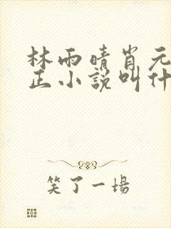 林雨晴肖元林文正小说叫什么名字