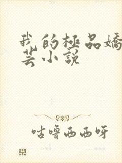 我的极品娇妻苏芸小说