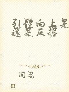 引体向上是正握还是反握