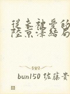 从未被爱的沈念陆京泽结局