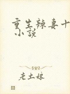 重生辣妻十九岁 小说