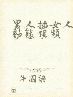 男人插女人下面动态视频