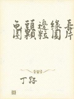 龟头边缘长了一圈颗粒图片