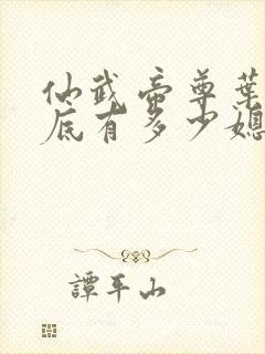 仙武帝尊叶辰到底有多少媳妇