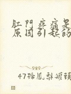 肛门疼痛是什么原因引起的