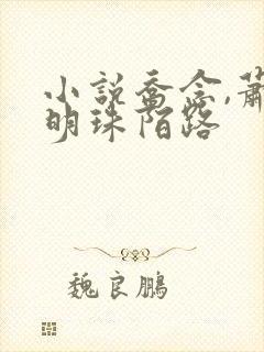 小说乔念,萧衡明珠陌路