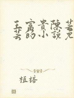 王富贵陈芸和陈芸的小说免费阅读