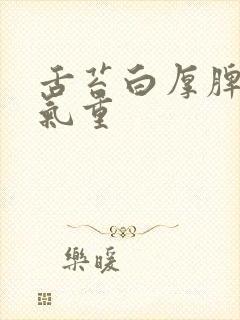 舌苔白厚脾虚湿气重