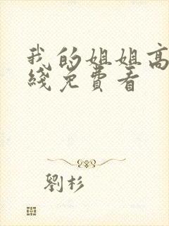 我的姐姐高清在线免费看封面