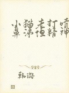 小猫老打喷嚏流鼻涕但精神很好封面