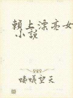 赖上漂亮女总裁 小说封面