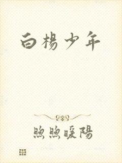 白杨少年
