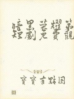 暗黑荣耀第二季短剧免费观看