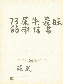 73属牛最旺财的微信名