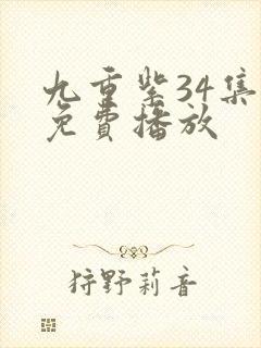 九重紫34集全免费播放