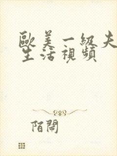 欧美一级夫妻性生活视频