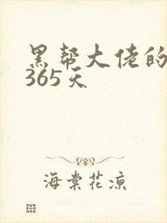 黑帮大佬的我的365天封面