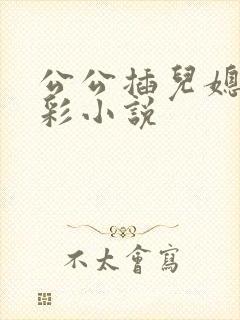 公公插儿媳妇精彩小说封面