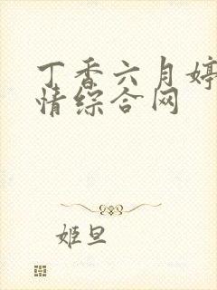 丁香六月婷婷激情综合网