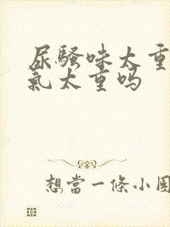 尿骚味太重是阴气太重吗