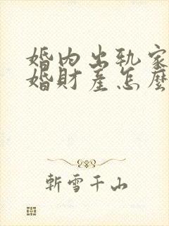 婚内出轨家暴离婚财产怎么分割封面