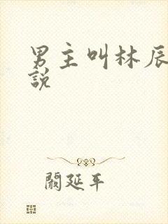 男主叫林辰的小说