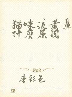 猫咪流黄鼻涕是什么原因