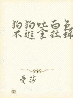 狗狗吐白色粘液不进食拉稀