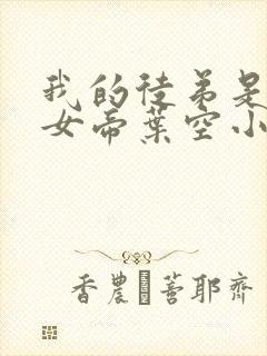 我的徒弟是重生女帝叶空小说封面