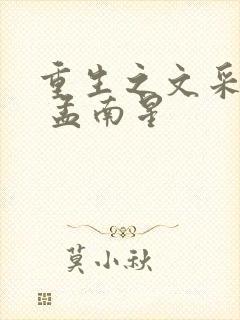 重生之文采风流 孟南星