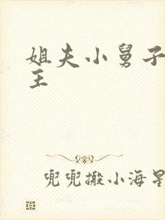 姐夫小舅子双男主