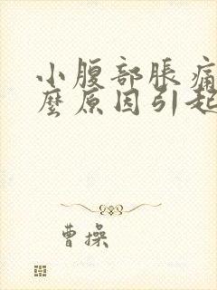 小腹部胀痛是什么原因引起的