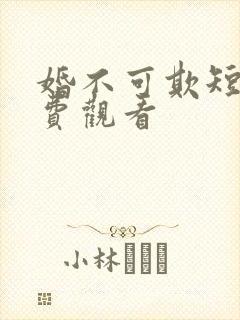 婚不可欺短剧免费观看