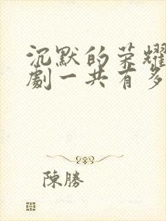 沉默的荣耀电视剧一共有多少集封面