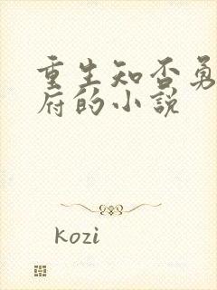 重生知否勇毅侯府的小说