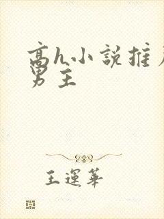 高h小说推荐双男主