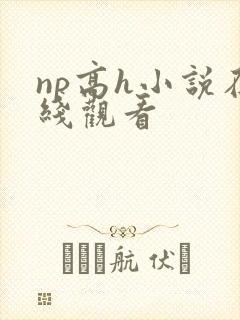 np高h小说在线观看